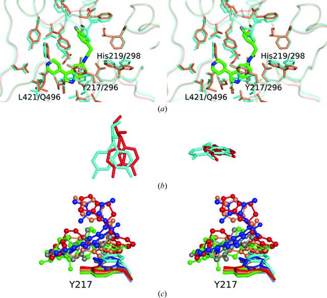 [Figure 5]