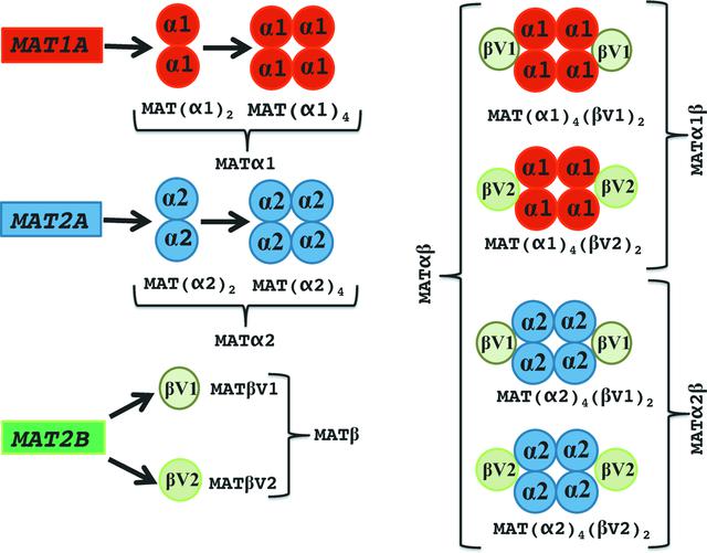 [Figure 1]