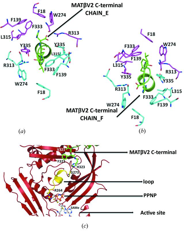 [Figure 4]