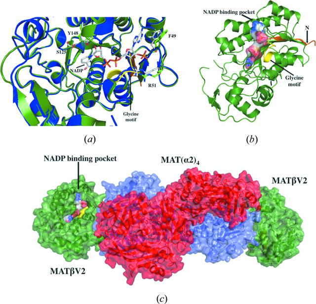 [Figure 5]