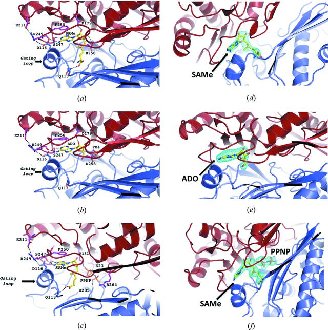 [Figure 6]