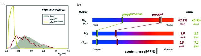 [Figure 7]