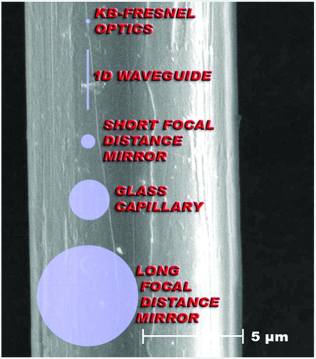 [Figure 1]