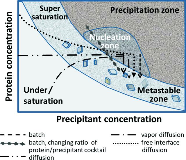 [Figure 1]