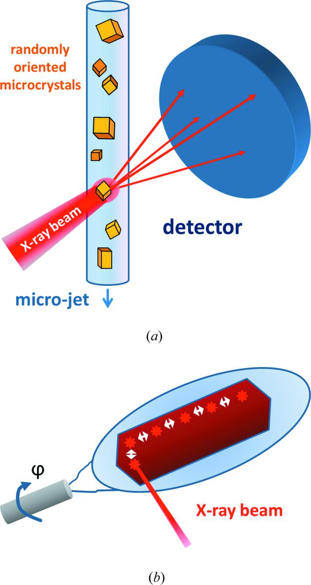 [Figure 2]