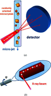 [Figure 2]