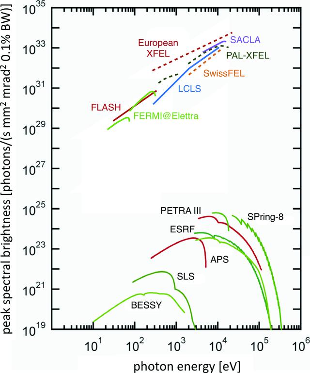 [Figure 1]