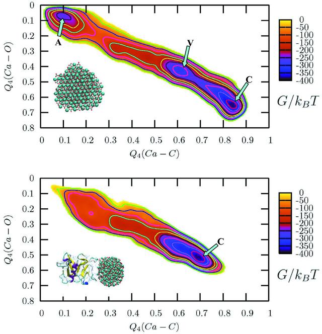 [Figure 5]