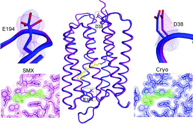 [Figure 3]