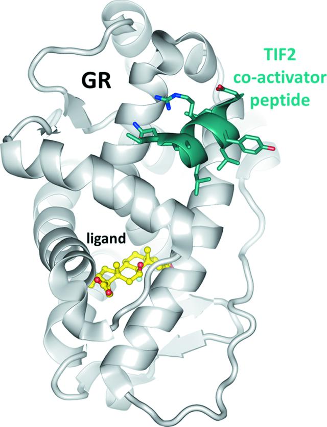 [Figure 1]