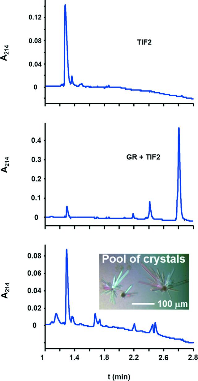 [Figure 2]