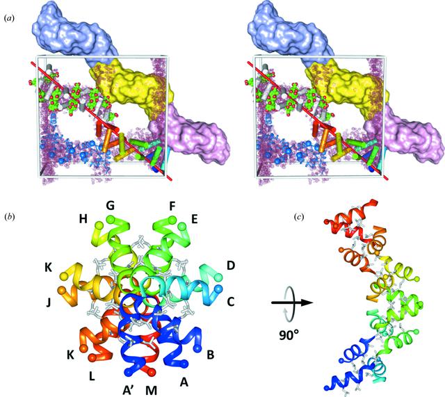 [Figure 6]