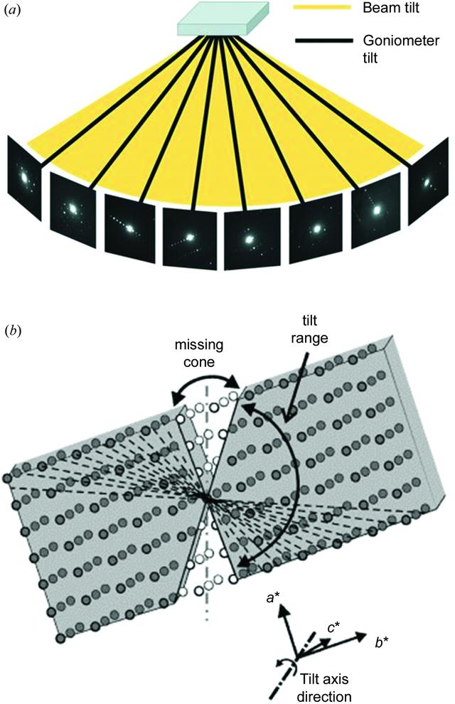 [Figure 1]