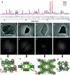 [Figure 2]