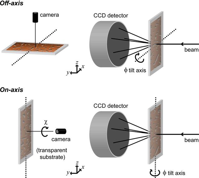 [Figure 1]