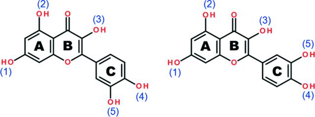 [Figure 1]