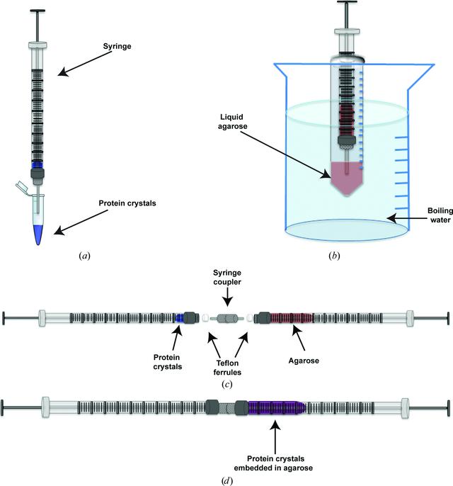 [Figure 1]