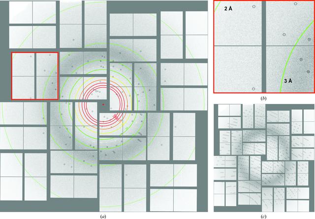 [Figure 4]