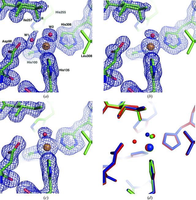 [Figure 1]