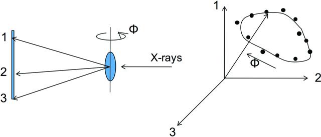 [Figure 8]