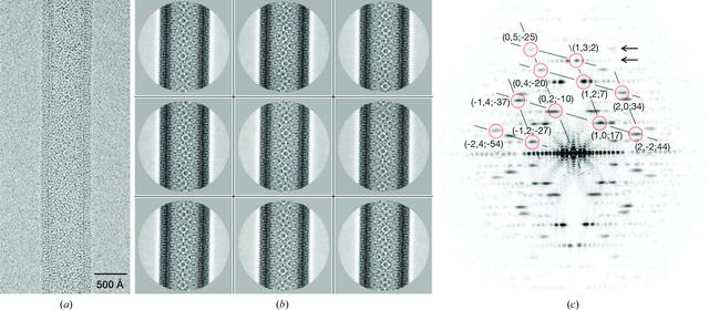 [Figure 1]