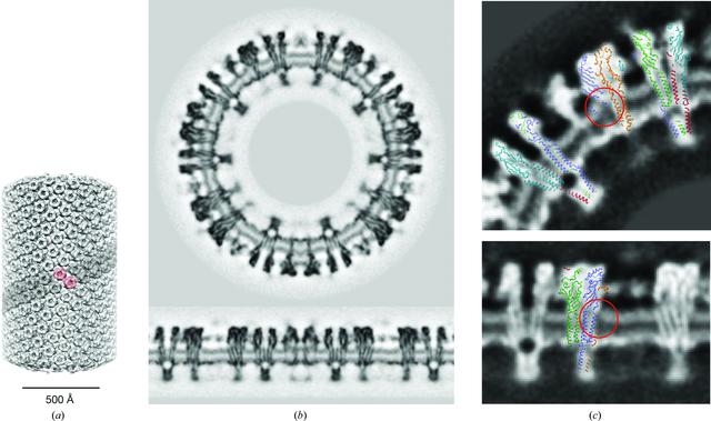 [Figure 2]