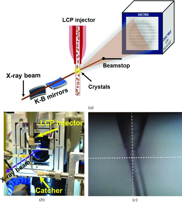 [Figure 2]