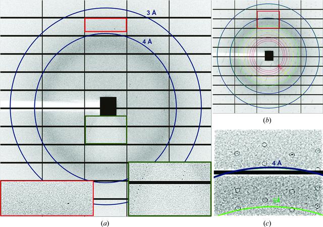 [Figure 5]