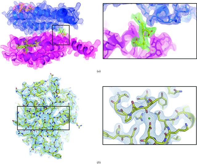 [Figure 7]