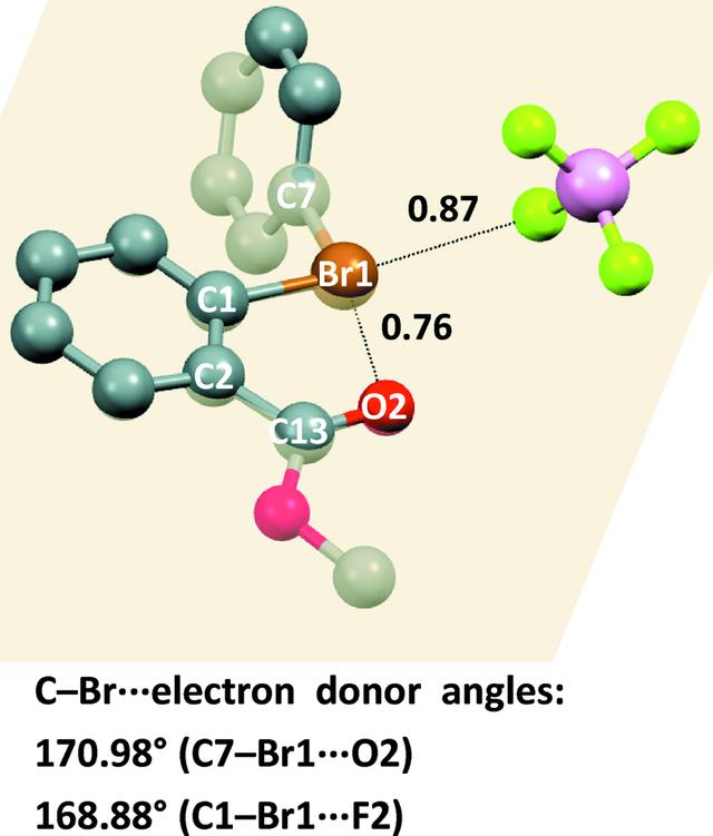 [Figure 10]