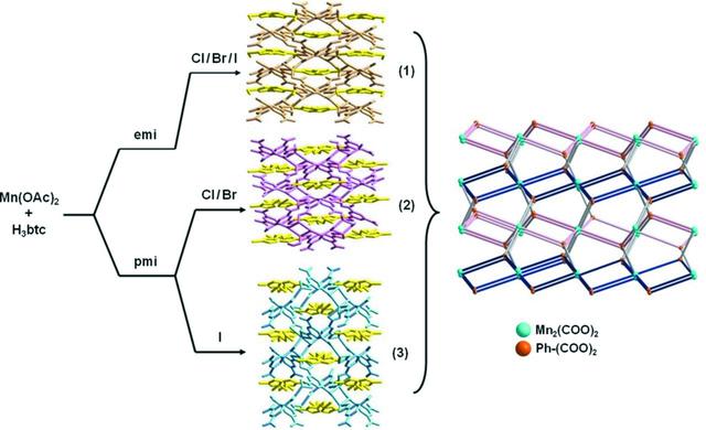 [Figure 3]