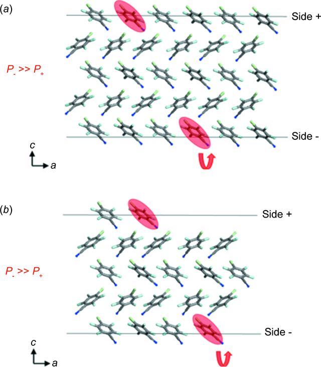 [Figure 5]