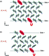 [Figure 5]