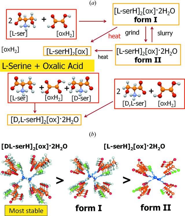 [Figure 11]