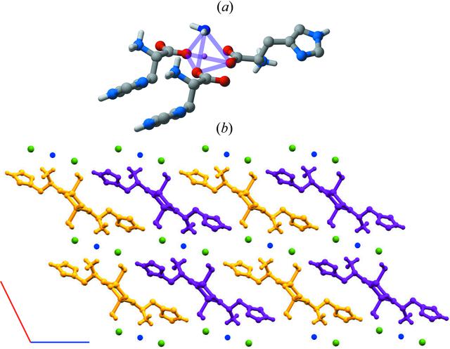 [Figure 12]