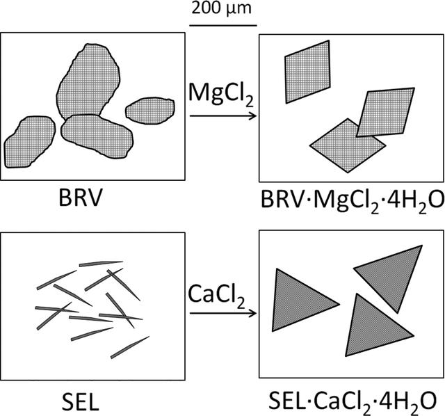 [Figure 9]