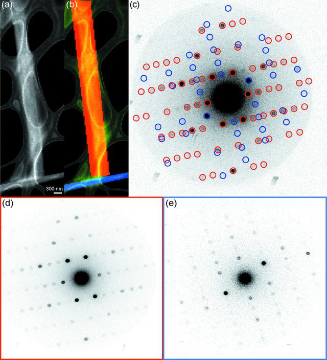 [Figure 5]