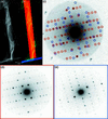 [Figure 5]