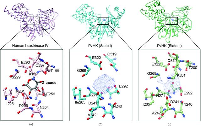 [Figure 2]