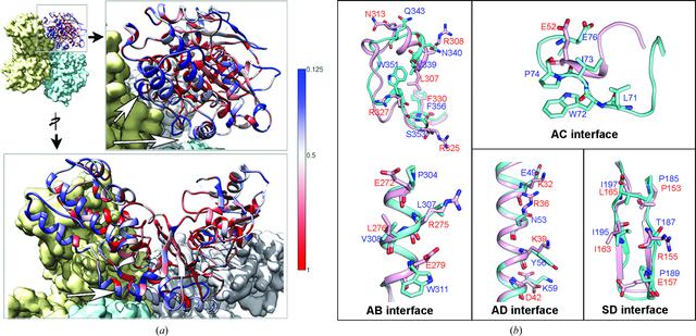 [Figure 5]