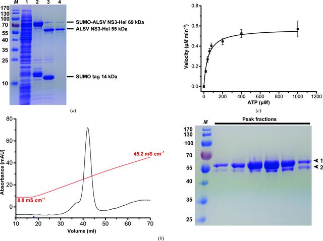 [Figure 1]