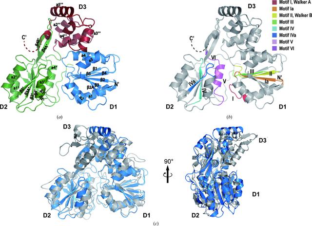 [Figure 3]