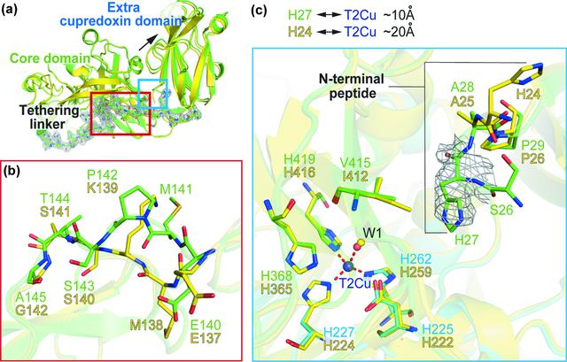 [Figure 2]