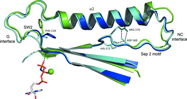 [Figure 11]