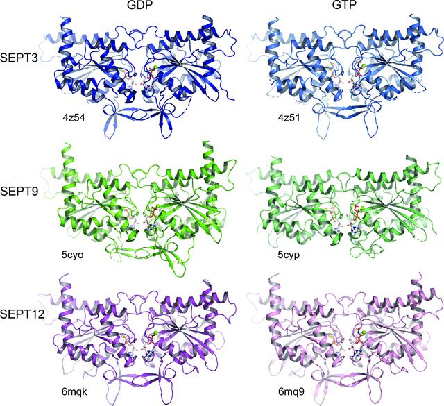 [Figure 5]