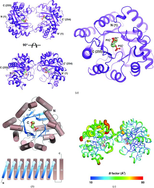 [Figure 1]