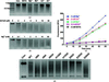 [Figure 5]