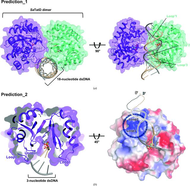 [Figure 6]