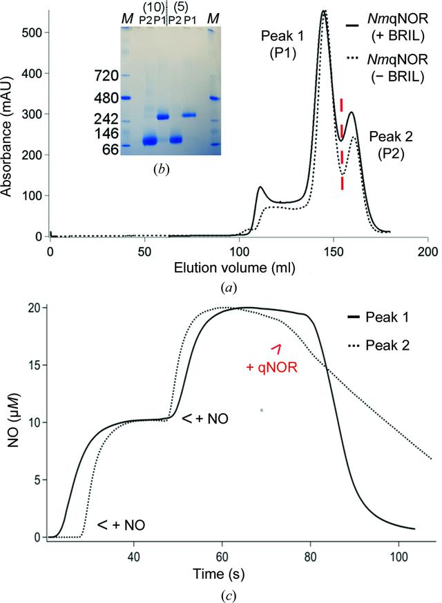 [Figure 1]