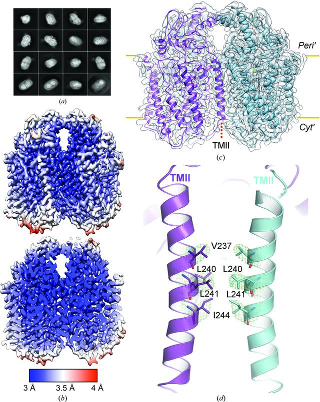 [Figure 3]